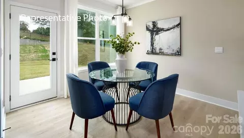 Other - 3117 Spring Iris Dr, Denver, NC 28037 photo 15 of 22