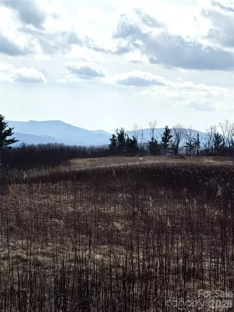 Crestwood Circle, Linville, NC 28646