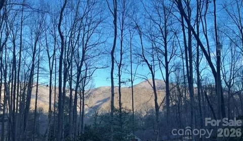 1 Hickory Dr, Maggie Valley, NC 28751