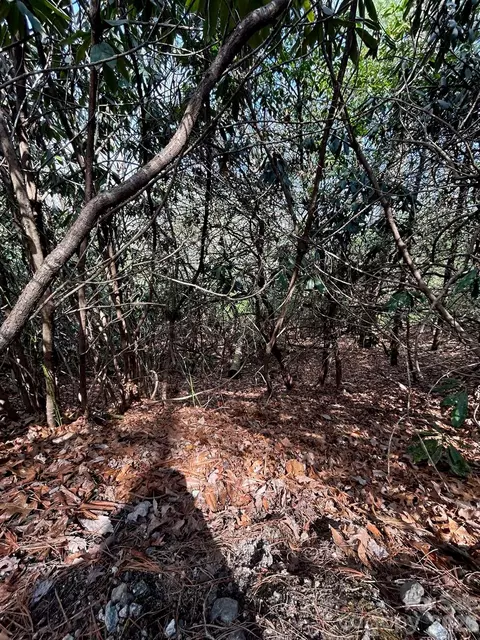 High Peak Road, Hendersonville, NC 28739