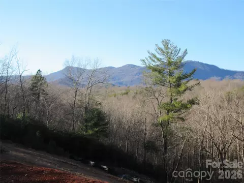 0 Levi Rd, Columbus, NC 28722