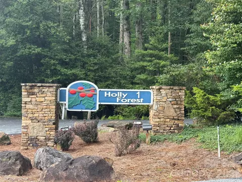 66 W Christy Trl, Sapphire, NC 28774
