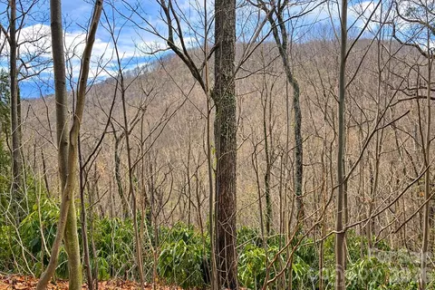 11 Majestic Overlook 36 Way #36, Candler, NC 28715