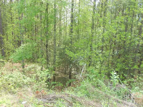 Table Rock Nw Trace, Morganton, NC 28655 photo 24
