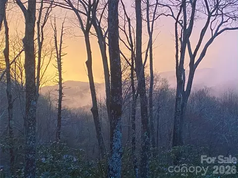 Other - Carriage Drive, Fairview, NC 28730 photo 16 of 18