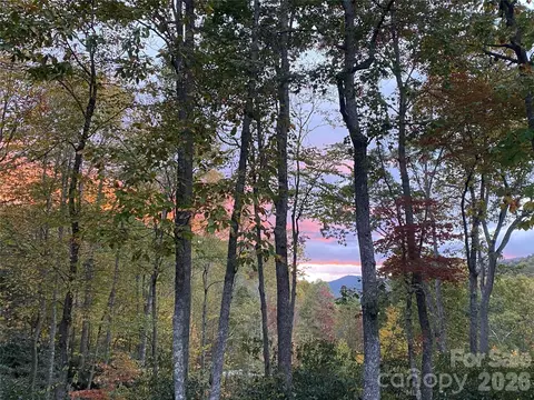 Other - Carriage Drive, Fairview, NC 28730 photo 2 of 18