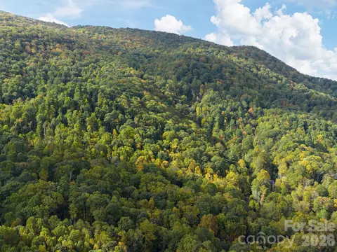Other - Carriage Drive, Fairview, NC 28730 photo 13 of 18