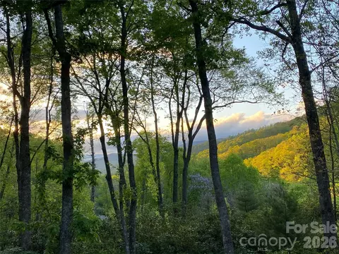 Other - Carriage Drive, Fairview, NC 28730 photo 14 of 18
