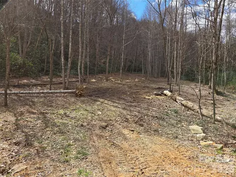00 Laurel Branch Rd, Waynesville, NC 28785