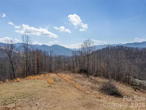 425 Rustic Ridge Dr, Canton, NC 28716 photo 8