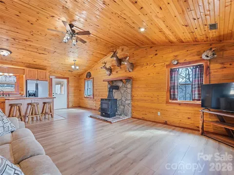 425 Rustic Ridge Dr, Canton, NC 28716 photo 21