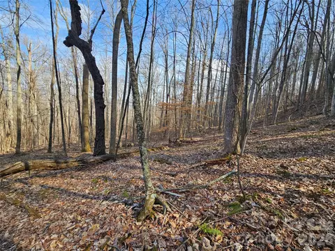 00 Red Wolf Run E-7 Rd #E-7, Mars Hill, NC 28754 photo 3