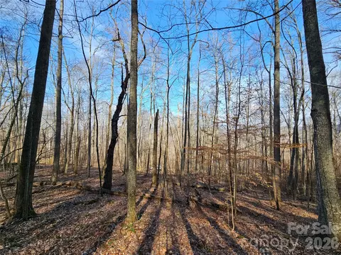00 Red Wolf Run E-7 Rd #E-7, Mars Hill, NC 28754 photo 6