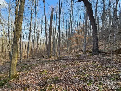 00 Red Wolf Run E-7 Rd #E-7, Mars Hill, NC 28754 photo 4