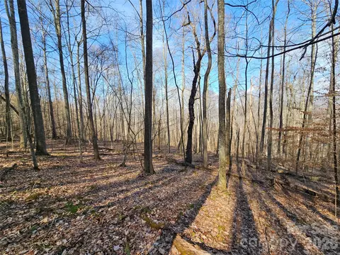 00 Red Wolf Run E-7 Rd #E-7, Mars Hill, NC 28754