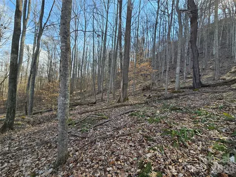 00 Red Wolf Run E-7 Rd #E-7, Mars Hill, NC 28754 photo 7