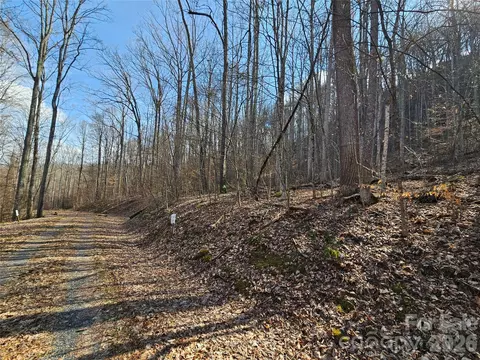 00 Red Wolf Run E-7 Rd #E-7, Mars Hill, NC 28754 photo 10