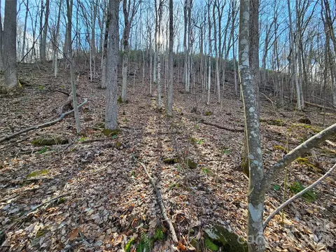 00 Red Wolf Run E-7 Rd #E-7, Mars Hill, NC 28754 photo 8