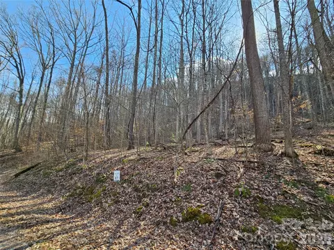 00 Red Wolf Run E-7 Rd #E-7, Mars Hill, NC 28754 photo 2