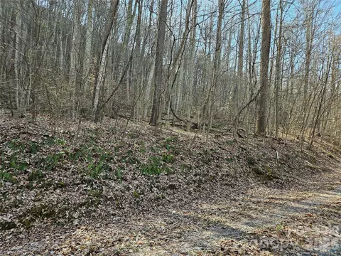00 Red Wolf Run E-7 Rd #E-7, Mars Hill, NC 28754 photo 11