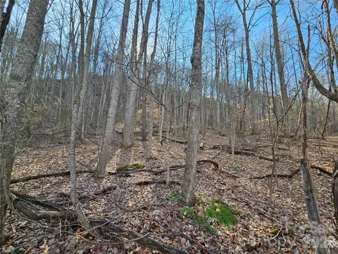 00 Red Wolf Run E-7 Rd #E-7, Mars Hill, NC 28754 photo 9