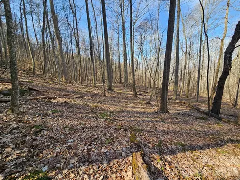 00 Red Wolf Run E-7 Rd #E-7, Mars Hill, NC 28754 photo 5