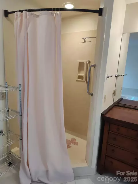 Bath - 111 Bluffview Ln, Flat Rock, NC 28731 photo 3 of 5