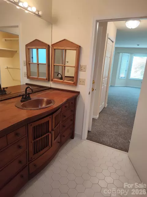 Bath - 111 Bluffview Ln, Flat Rock, NC 28731 photo 2 of 5