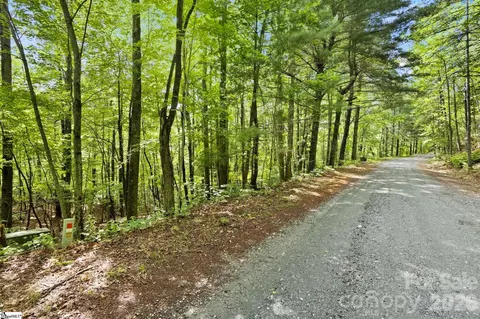 430 N Lakeview Dr, Tryon, NC 28773