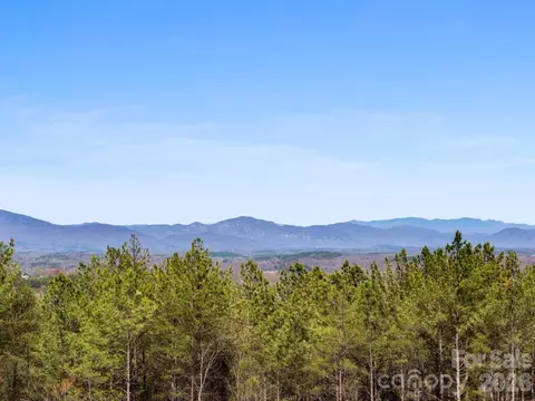 Williams Loop, Columbus, NC 28722 photo 14