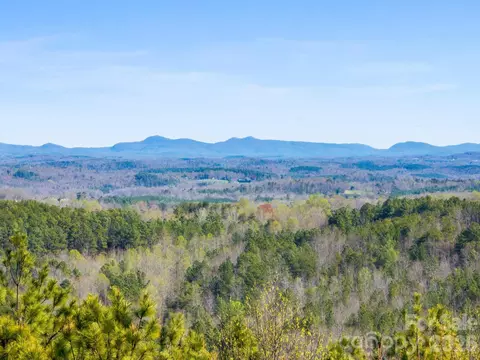 Williams Loop, Columbus, NC 28722 photo 19
