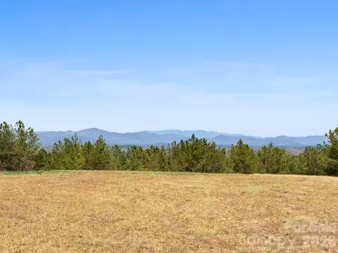 Williams Loop, Columbus, NC 28722 photo 3