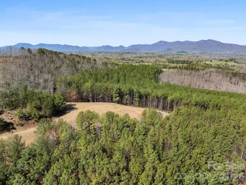 Williams Loop, Columbus, NC 28722 photo 21