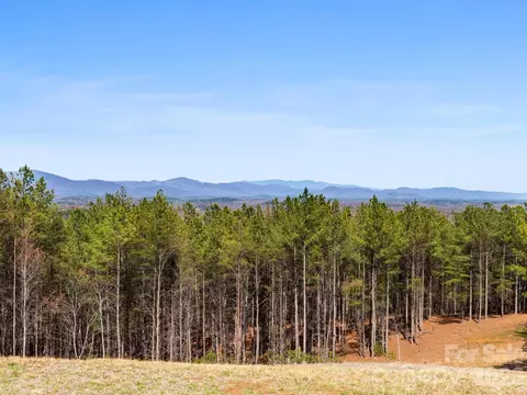 Williams Loop, Columbus, NC 28722 photo 8