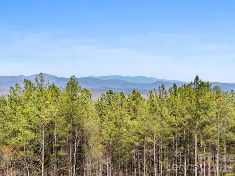 Williams Loop, Columbus, NC 28722 photo 11