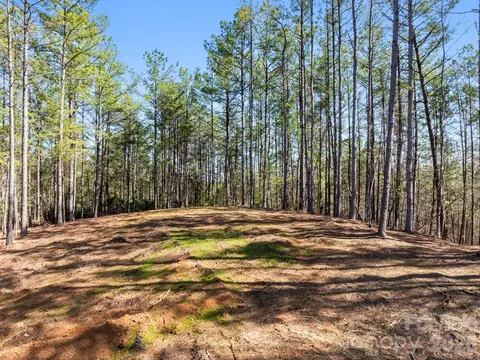 Williams Loop, Columbus, NC 28722 photo 29