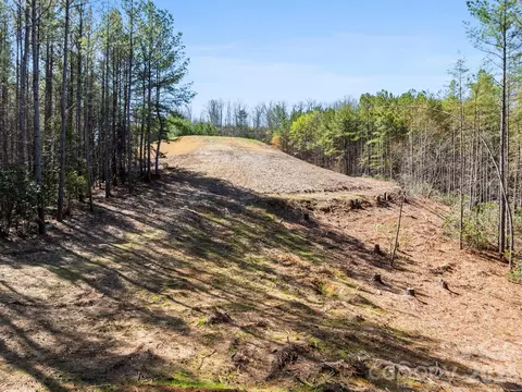 Williams Loop, Columbus, NC 28722 photo 26