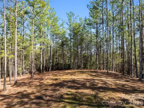 Williams Loop, Columbus, NC 28722 photo 28