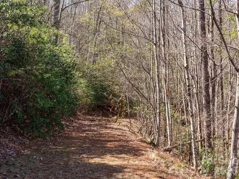 Williams Loop, Columbus, NC 28722 photo 30