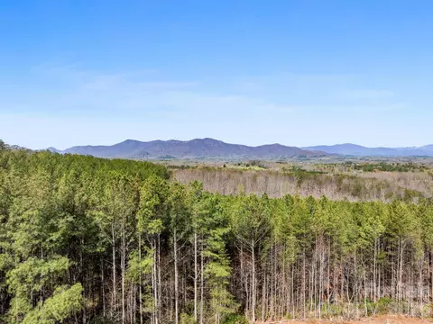 Williams Loop, Columbus, NC 28722 photo 20