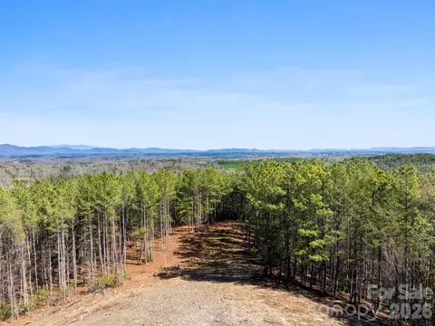 Williams Loop, Columbus, NC 28722 photo 9