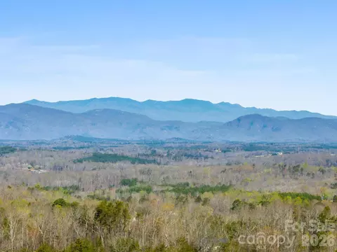 Williams Loop, Columbus, NC 28722 photo 16