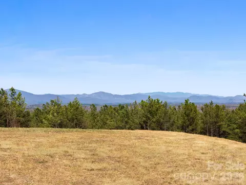 Williams Loop, Columbus, NC 28722 photo 2