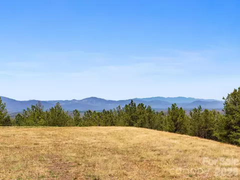 Williams Loop, Columbus, NC 28722 photo 5