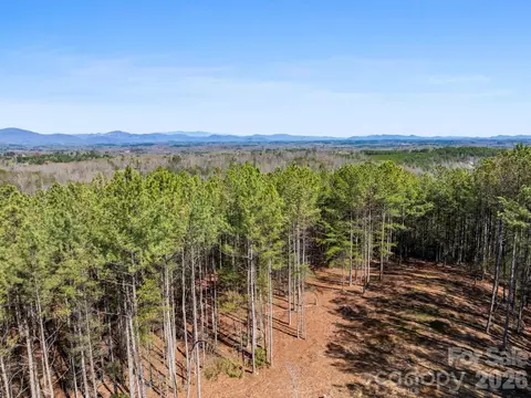 Williams Loop, Columbus, NC 28722 photo 27