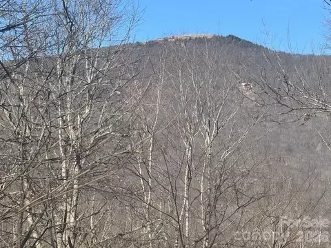 11 Zebulon Ln, Mars Hill, NC 28754