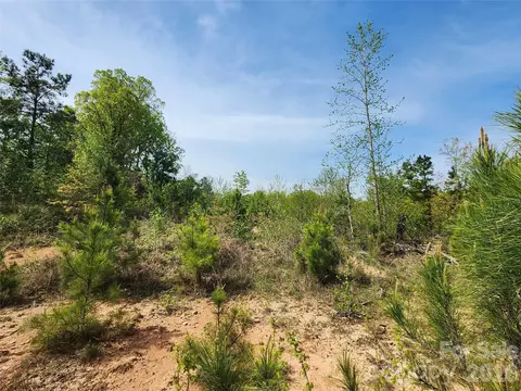 6327 Witherspoon Trl, Lancaster, SC 29720 photo 27