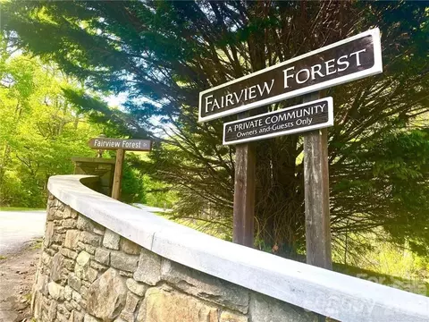View/Area - 14 Weeping Cherry Forest Rd, Fairview, NC 28730 photo 1 of 2