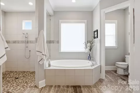 Bath - 13124 Davidson Park Dr, Davidson, NC 28036 photo 3 of 7