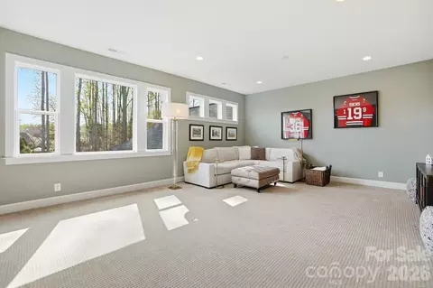 Other - 13124 Davidson Park Dr, Davidson, NC 28036 photo 8 of 15